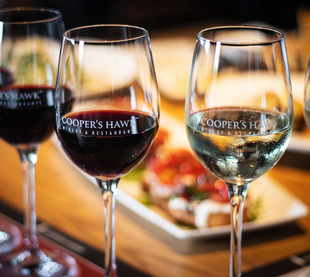 CoopersHawk_Dania_Glasses