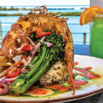 HawksCay_AnglerAle_Fish