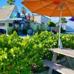 MyaPapayaJuicery+Kitchen2