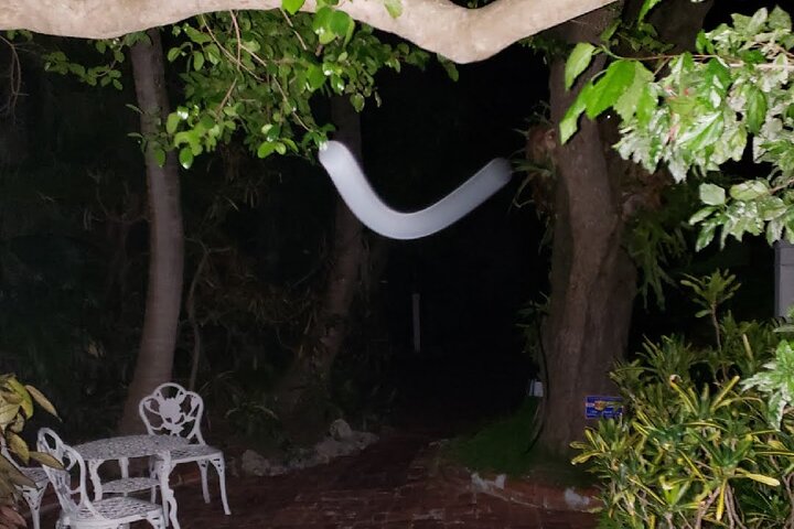 PrivateHauntedHistoryWalkingTour5