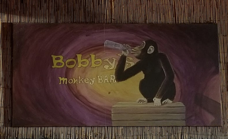 Bobby'sMonkeyBar4