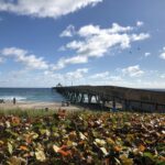 DeerfieldBeachCafé2