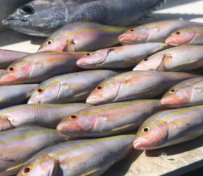 DirtyBoatDeepSeaCharter2