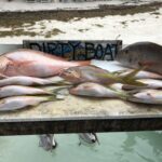 DirtyBoatOffshoreCharter2