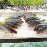 DirtyBoatOffshoreCharter5