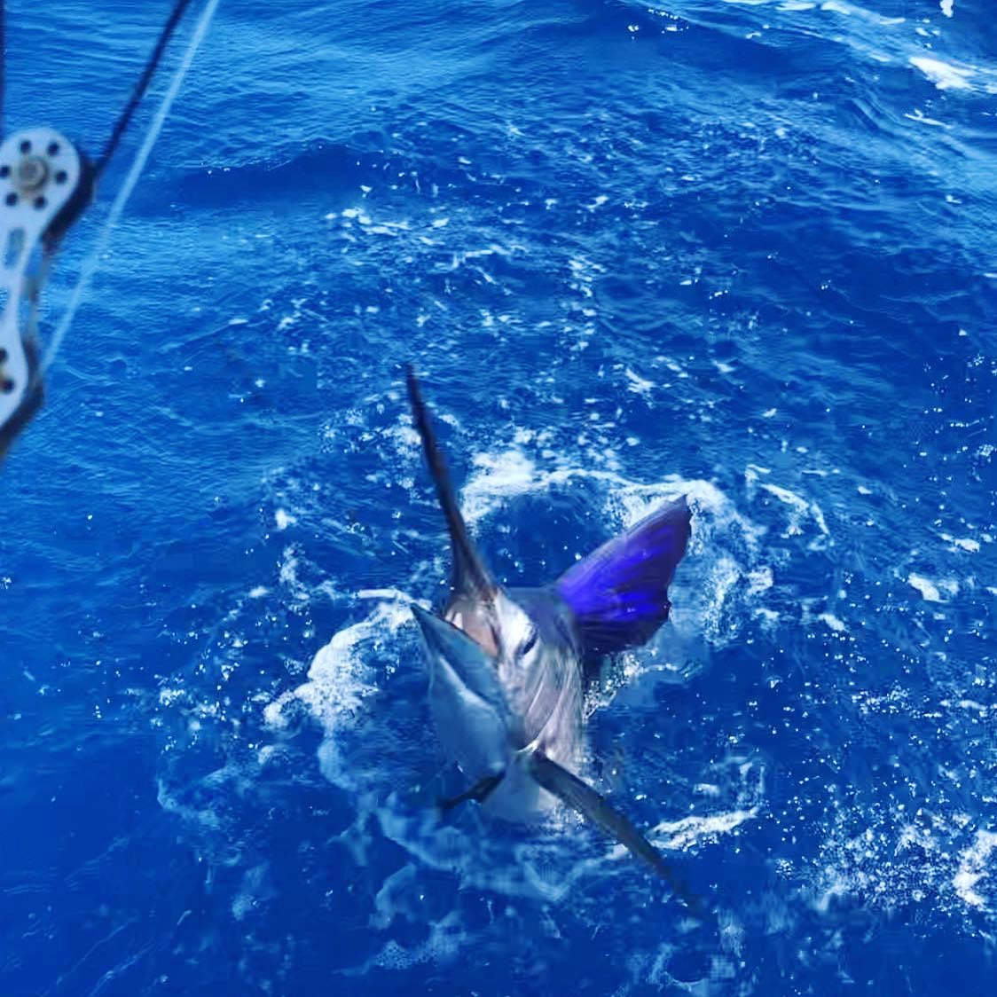 DirtyBoatSwordfishCharter1