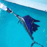 DirtyBoatSwordfishCharter2