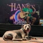Hank'sHairoftheDogSaloon7