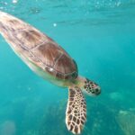 IslamoradaCoastalAdventures3