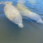 IslamoradaCoastalAdventures4