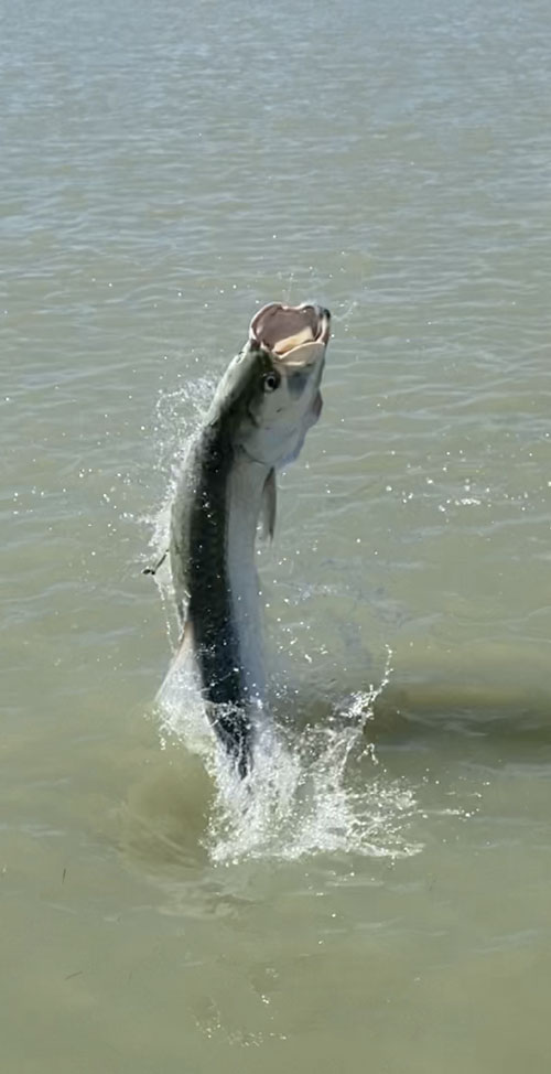 IslamoradaCoastalAdventures6