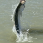 IslamoradaCoastalAdventures6