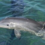 IslamoradaCoastalAdventures7