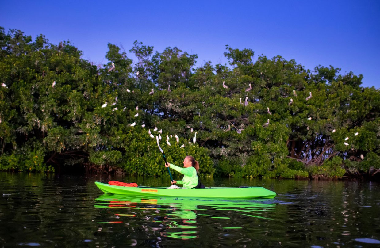 IbisBayPaddleSports2