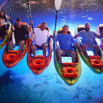 IbisBayPaddleSports3