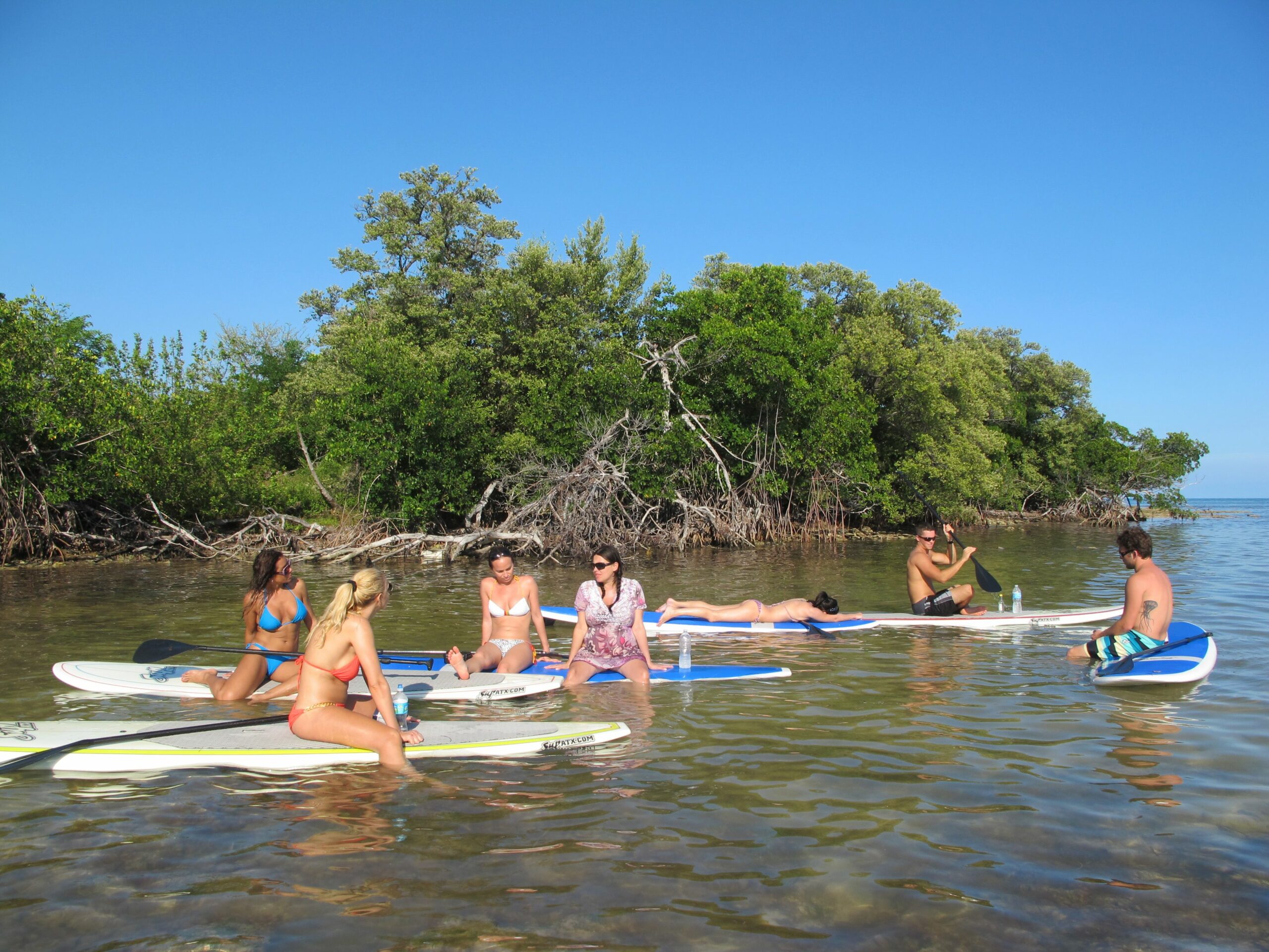 ibis bay paddle