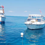 CaptainSlate'sScubaAdventures4