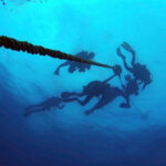 ConchRepublicDivers6