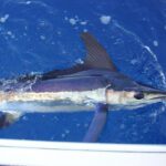 DoubleThreat_NiceCatch