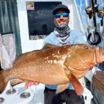 DoubleThreat_RedGrouper