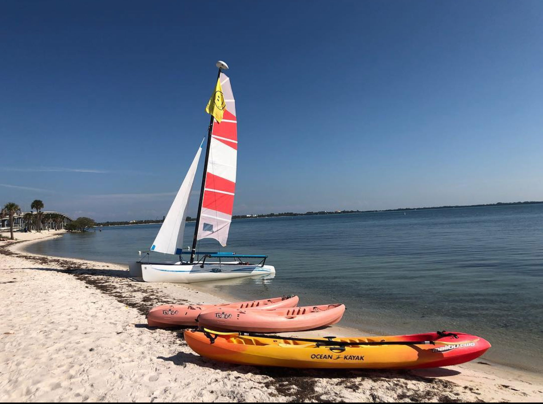 MiamiWatersportsHobieCat1