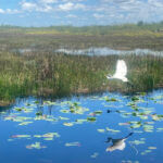 TenThousandIslandsTour1