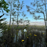 TenThousandIslandsTour4