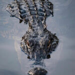 TenThousandIslandsTour6