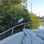 CasualMondayEcoTour1