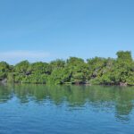 CasualMondayEcoTour2