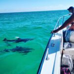 CasualMondayEcoTour3