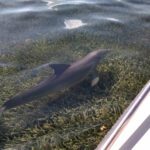 CasualMondayEcoTour4