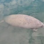 CasualMondayEcoTour5