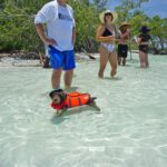 CasualMondaySandBarExcursion