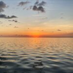 SaltySoulSunsetCharter1