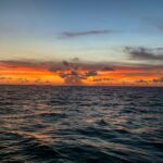 SaltySoulSunsetCharter2