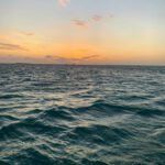 SaltySoulSunsetCharter6