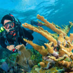 DiversDirect_GFL_Underwater_View