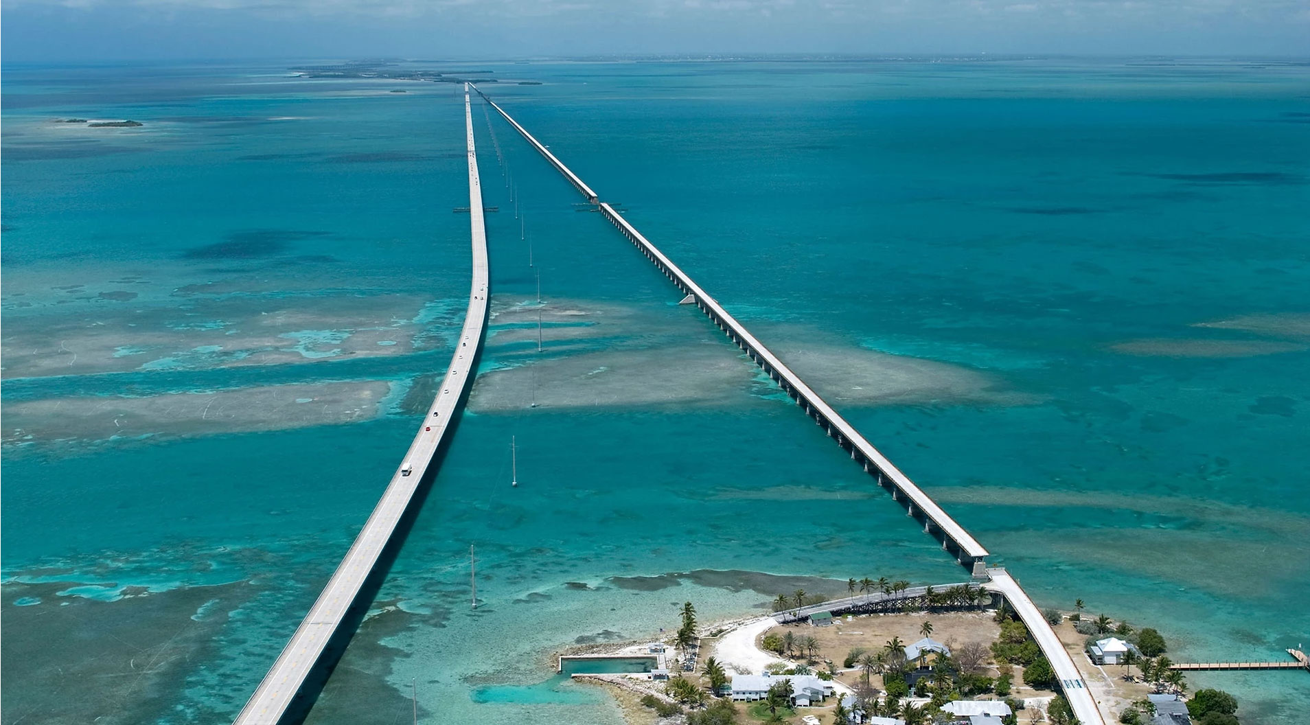 ExtremeAdventuresEcoWaterToursSharkandDolphinTours1