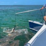 ExtremeAdventuresEcoWaterToursSharkandDolphinTours2