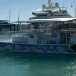 ExtremeAdventuresEcoWaterToursSharkandDolphinTours5