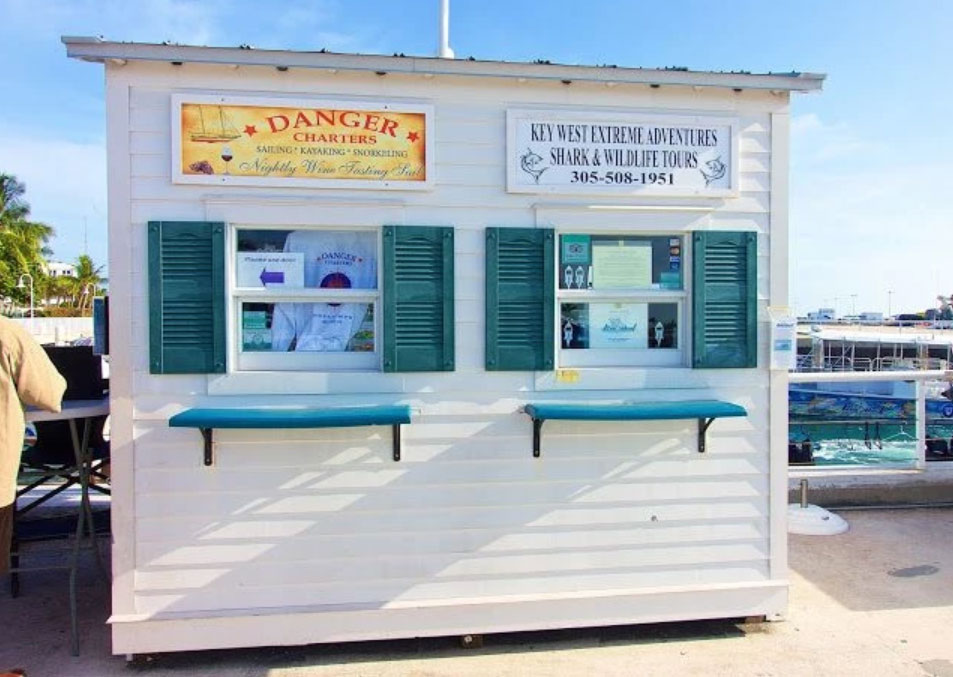 ExtremeAdventuresEcoWaterToursSharkandDolphinTours7