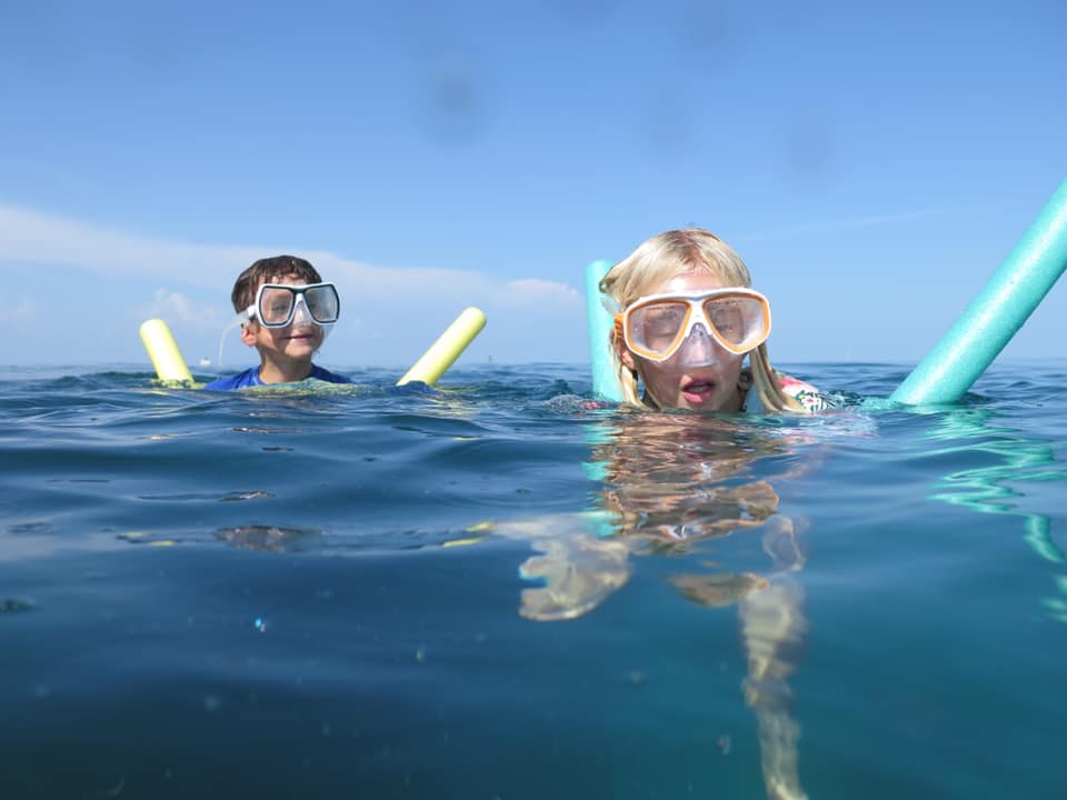 IslandVibeReefSnorkelTour3