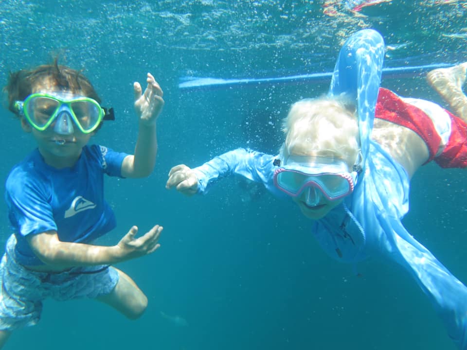 IslandVibeReefSnorkelTour6