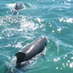 KeyWestJetSkiAdventures3