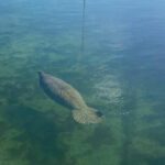 KeyWestJetSkiAdventures6