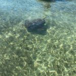 KeyWestJetSkiAdventures7