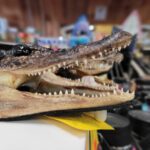 SandalFactoryOutlet36