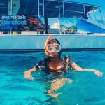 SeaBreeze_DolphinSnorkel