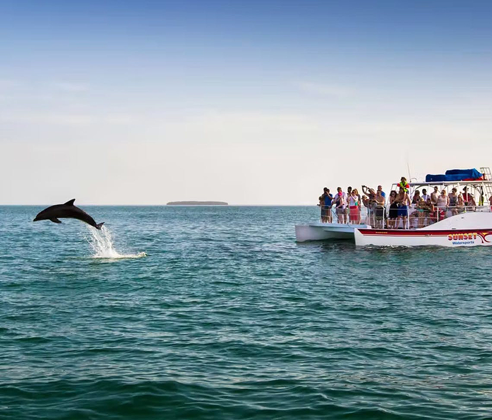 SunsetWatersports_private-dolphin-charters